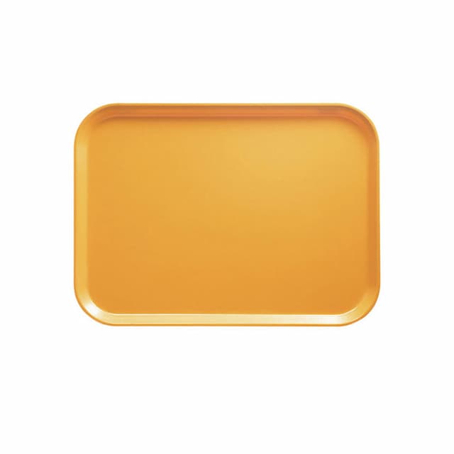 Пластиковый поднос Cambro 1216 504 (31х41 см)